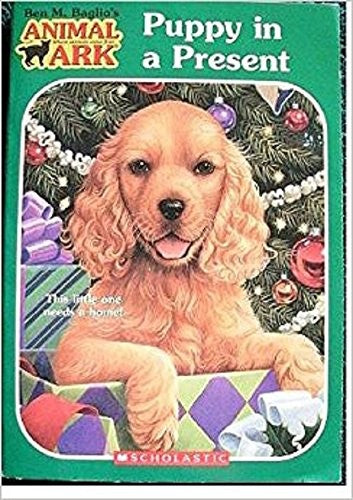 Puppy in a Present