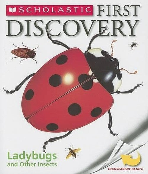 Ladybugs and Other Insects