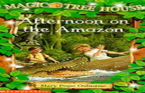 Afternoon on the Amazon