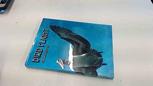 Bird Flight