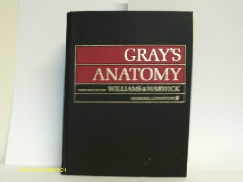 Anatomy