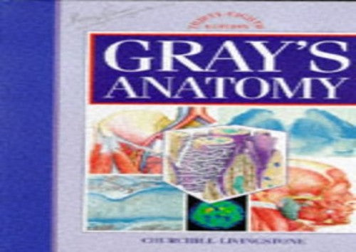 Anatomy