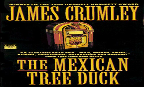 The Mexican Tree Duck