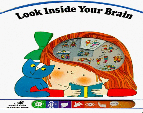 Look inside Your Brain