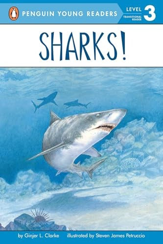 Sharks!