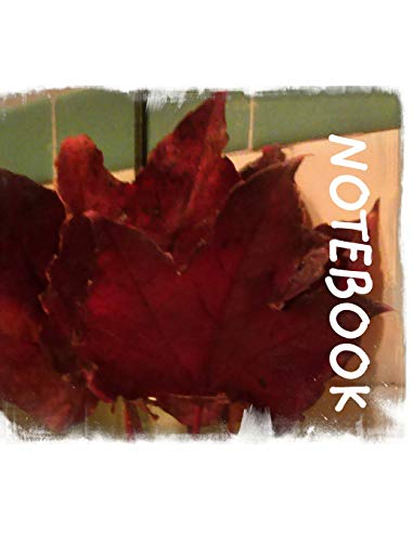Beauty of The Season of Autumn