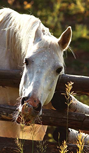 Kids Petite Equine Leftie Journal