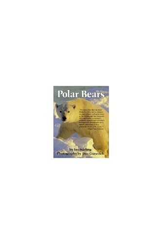 Polar Bears