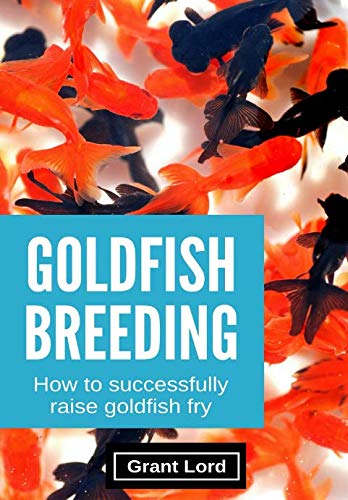 Goldfish Breeding: How to Successfully Raise Goldfish Fry