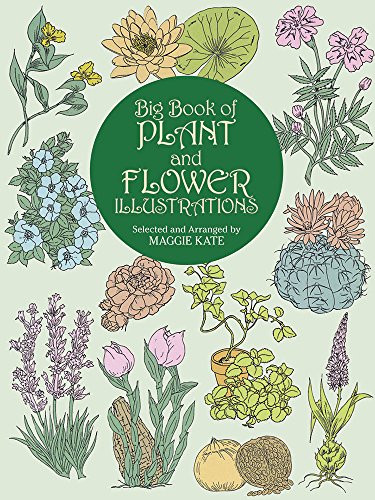 Big Book of Plant and Flower Illustrations