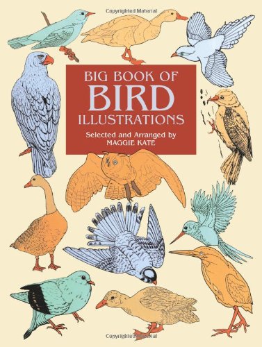 Big Book of Bird Illustrations