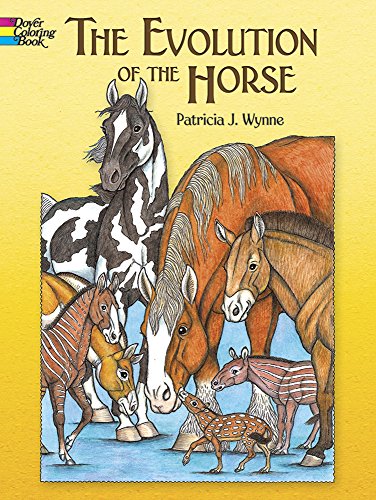 The Evolution of the Horse