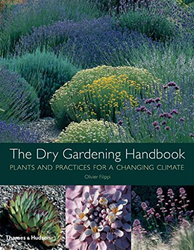 Dry Gardening Handbook, The:Plants and Practices for a Changing C