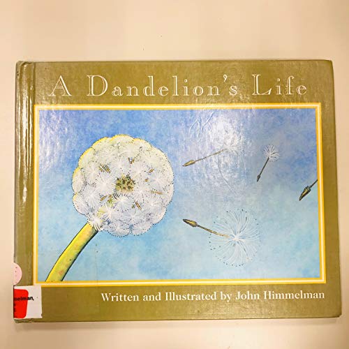 A Dandelion's Life