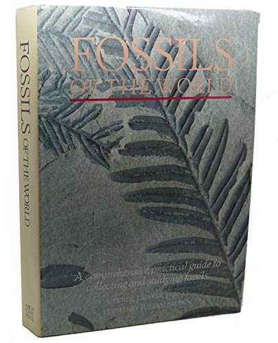 Fossils of the World