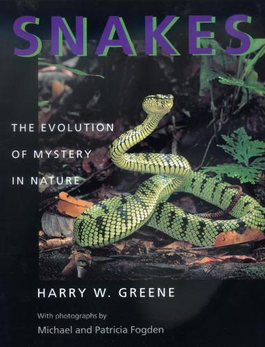 Snakes