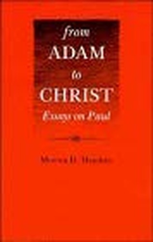 From Adam to Christ