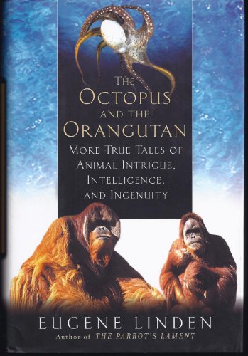 The Octopus & the Orangutan