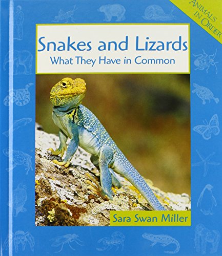 Snakes and Lizards