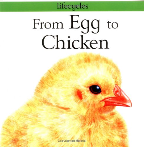 From Egg to Chicken