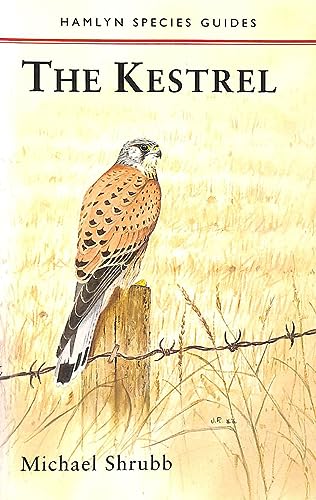 The Kestrel