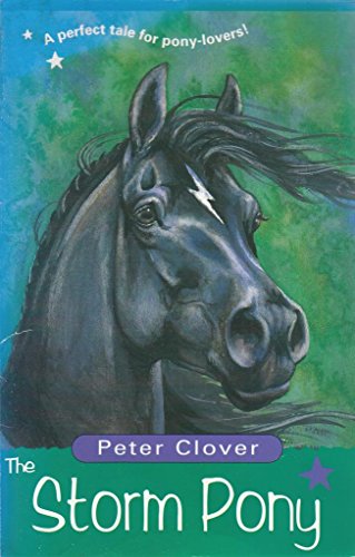 The Storm Pony