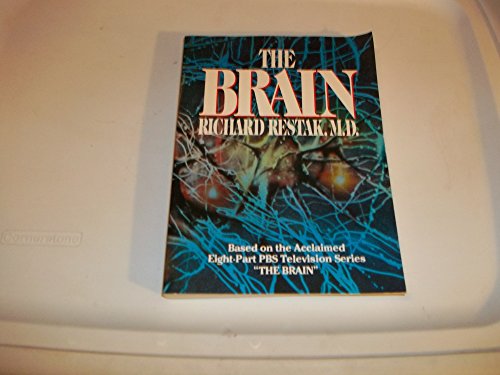 The Brain