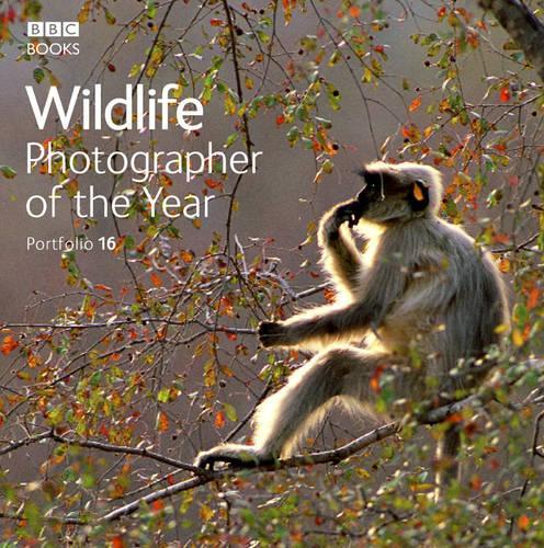 Wildlife Photographer of the Year Portfolio 16