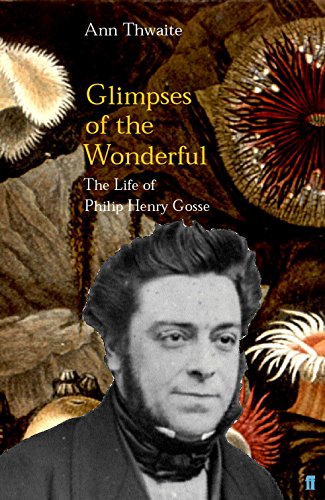 Glimpses of the Wonderful