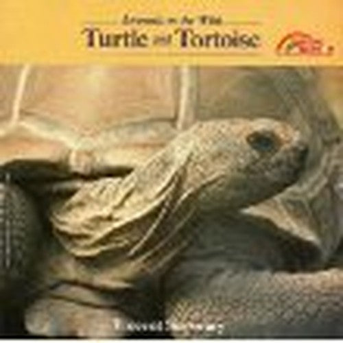 Turtle and Tortoise
