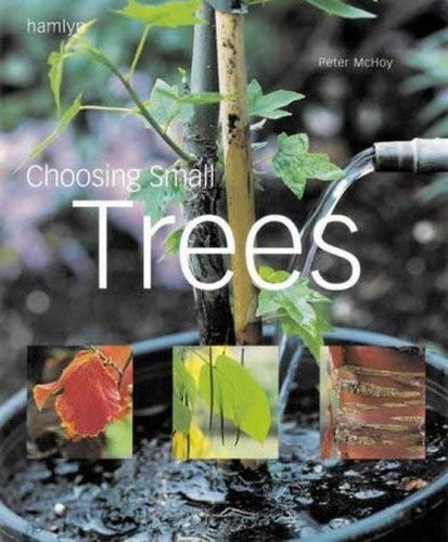 Choosing a Small Tree