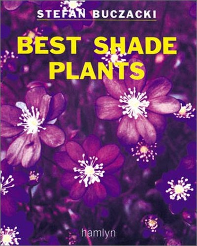 Best Shade Plants