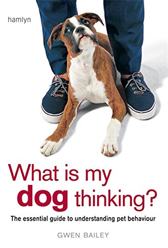 What is my Dog Thinking?