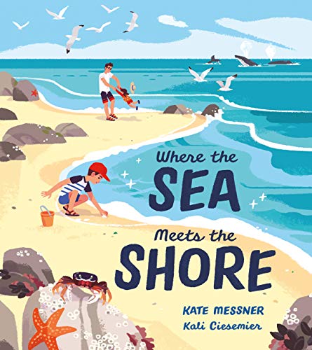 Where the Sea Meets the Shore
