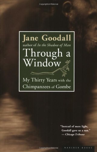 Through a Window