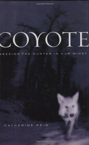 Coyote