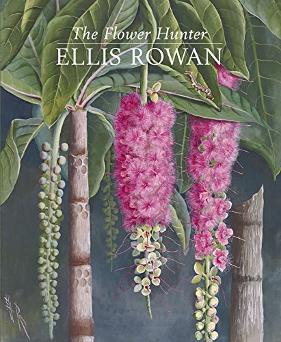 The Flower Hunter