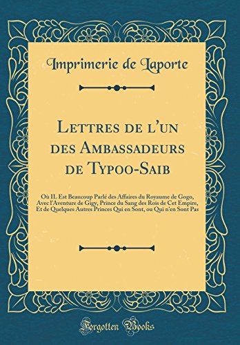 Lettres de l'un des Ambassadeurs de Typoo-Saib: Ou IL Est Beaucoup Parle des Affaires du Royaume de Gogo, Avec l'Aventure de Gigy, Prince du Sang des Rois de Cet Empire, Et de Quelques Autres Princes Qui en Sont, ou Qui n'en Sont Pas (Classic Reprint)