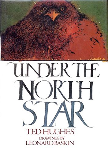 Under the North Star