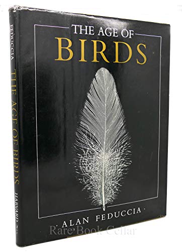 Age of Birds