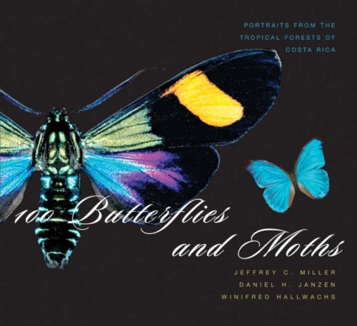 100 Butterflies and Moths