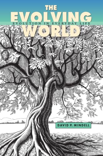 The Evolving World