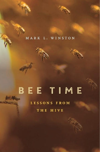 Bee Time