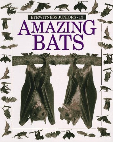 Amazing Bats
