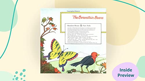 The Berenstain Bears and the Big Question