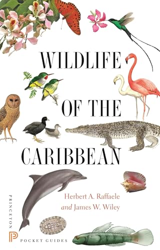 Wildlife of the Caribbean