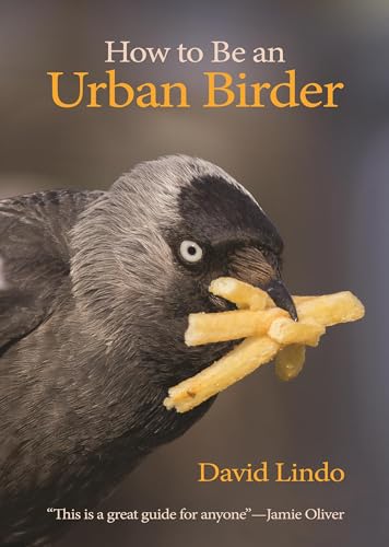 How to Be an Urban Birder