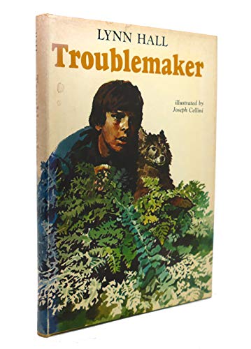 Troublemaker