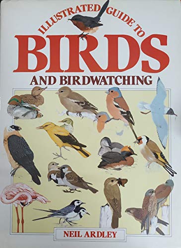 Illustrated Guide to Birds and Bird Watching (Kingfisher)