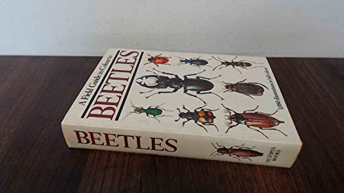 Field Guide in Colour to Beetles